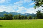 2014-07-05_Laengental-N-Hochweg (147). JPG